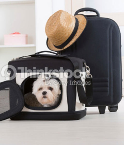 Pet Products